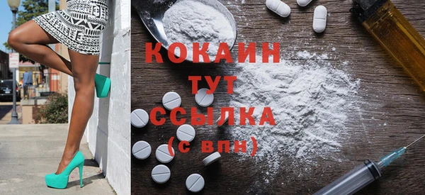 стаф Белокуриха