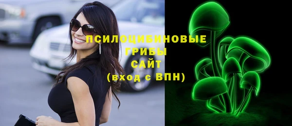 стаф Белокуриха