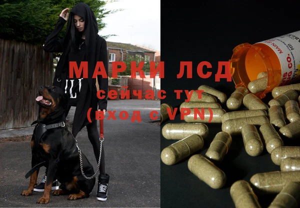 эйфоретик Беломорск