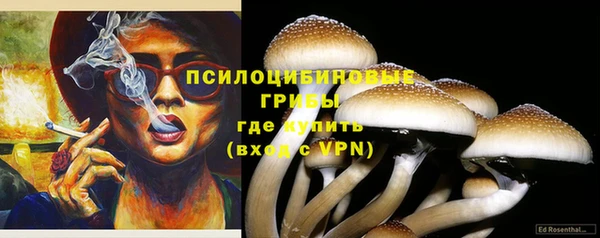 эйфоретик Беломорск