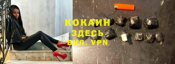 стаф Белокуриха