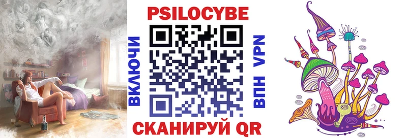 Псилоцибиновые грибы Cubensis  площадка состав  Шацк 
